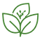 Clean Ingredients